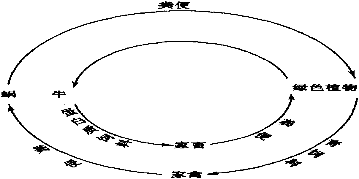 五、經(jīng)濟(jì)意義